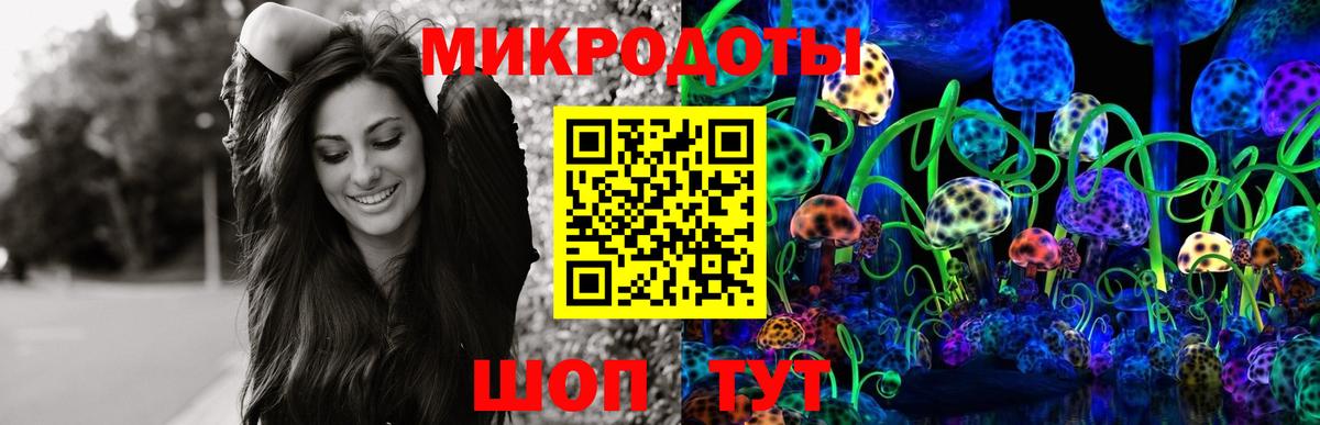 Галлюциногенные грибы мицелий Владикавказ