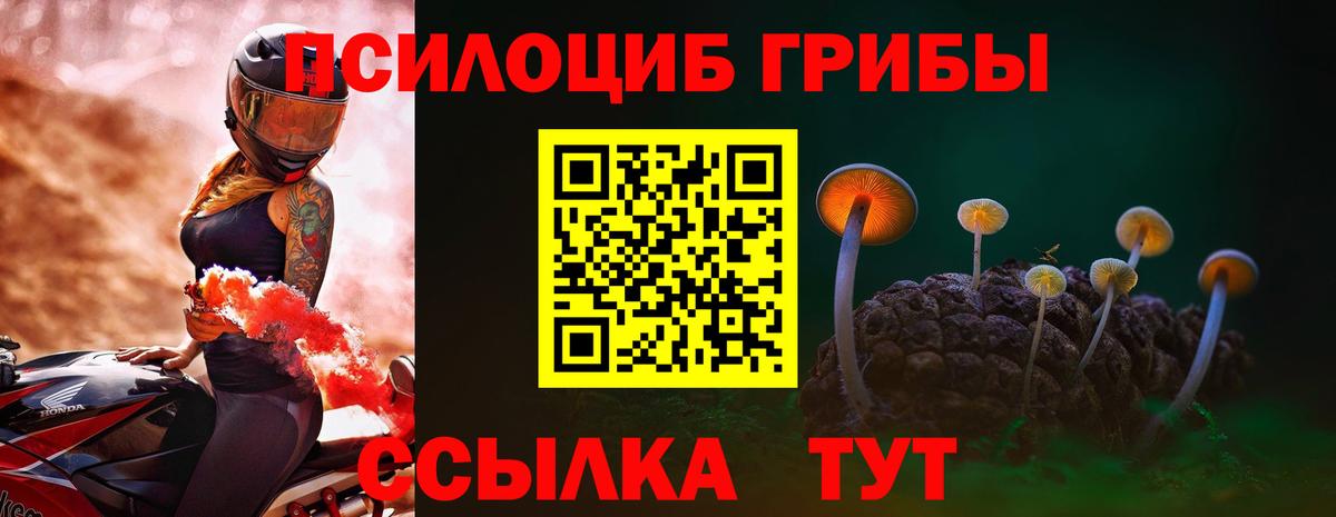 Владикавказ  Галлюциногенные грибы Psilocybe  Вход с VPN 